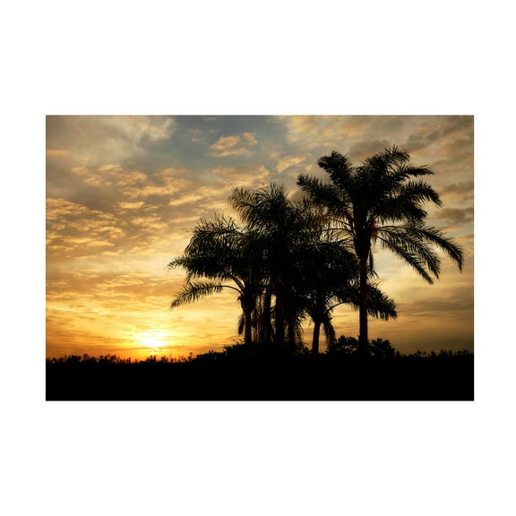 Trademark Fine Art 'Everglades Sunrise' Canvas Art by Mike Jones Photo