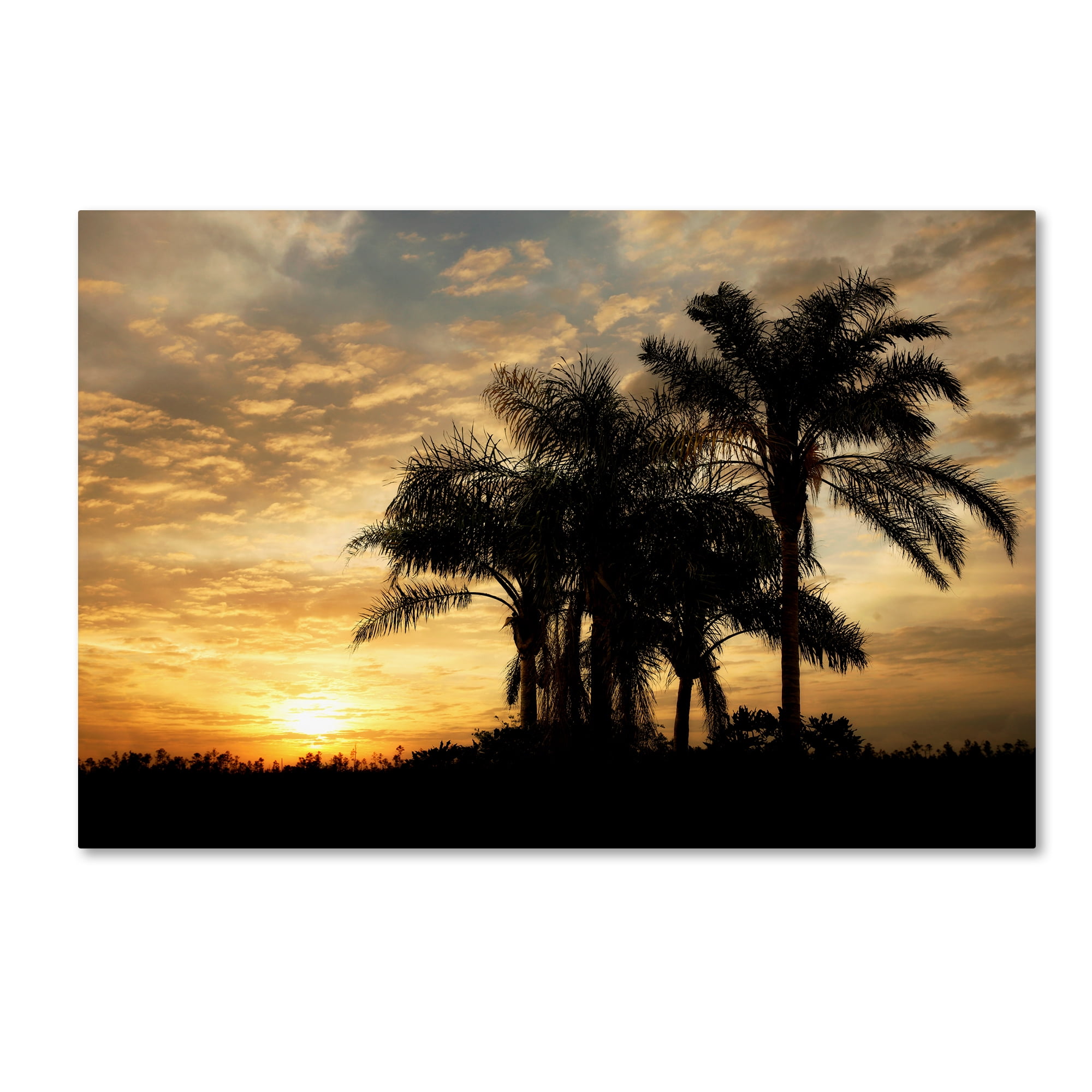 Trademark Fine Art 'Everglades Sunrise' Canvas Art by Mike Jones Photo