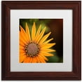 thumbnail image 1 of Trademark Fine Art "Everyday" Canvas Art by Philippe Sainte-Laudy, White Matte, Wood Frame, 1 of 4