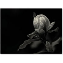 Trademark Fine Art "Everything's Gonna Be" Canvas Wall Art by Geoffrey Ansel Agrons