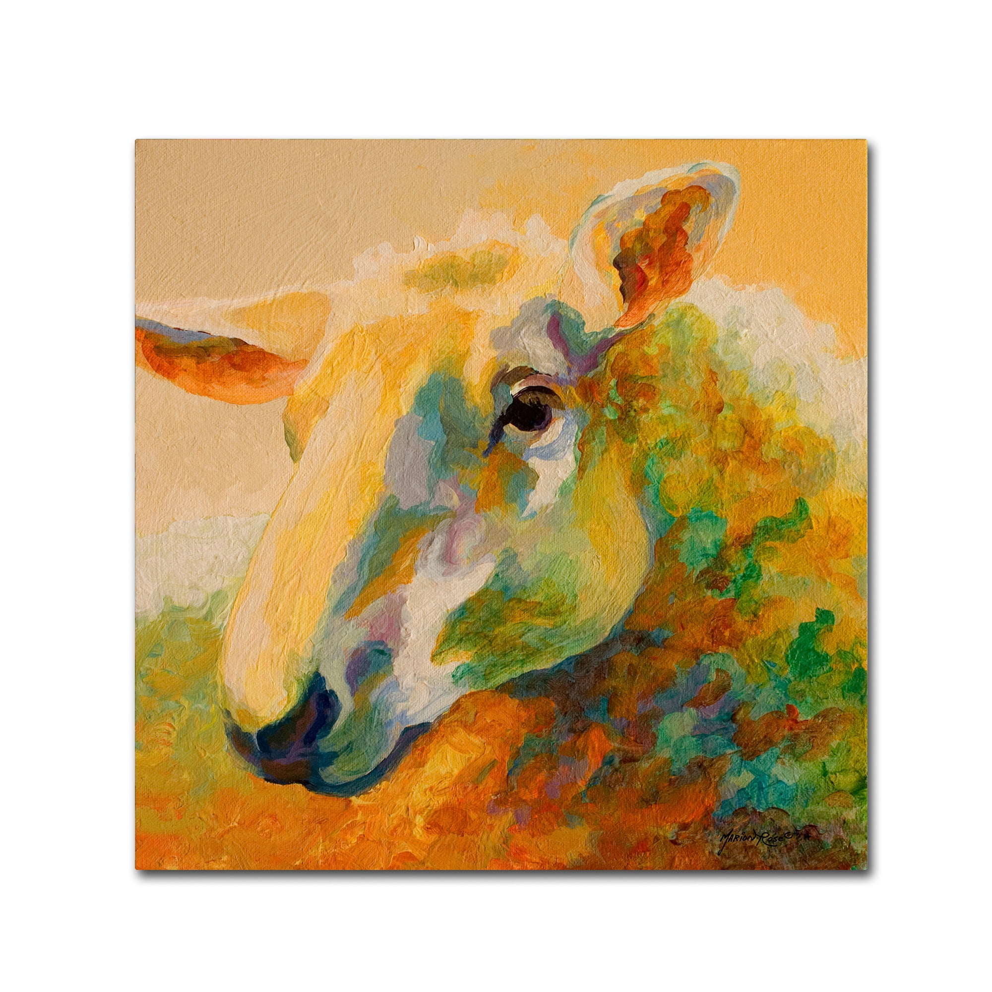 Trademark Fine Art 'Ewe Study III' Canvas Art by Marion Rose