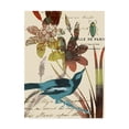 thumbnail image 1 of Trademark Fine Art 'Exotic Blossom I' Canvas Art by Willie Green Aldridge, 1 of 4