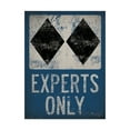 thumbnail image 1 of Trademark Fine Art 'Experts Only Blue' Canvas Art by Ryan Fowler, 1 of 3
