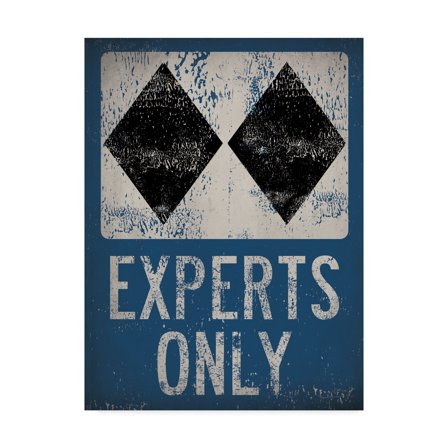 Trademark Fine Art 'Experts Only Blue' Canvas Art by Ryan Fowler