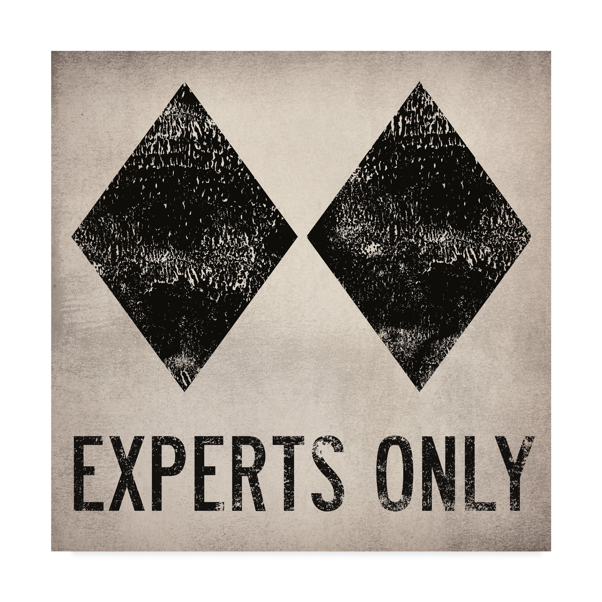 Trademark Fine Art 'Experts Only White' Canvas Art by Ryan Fowler