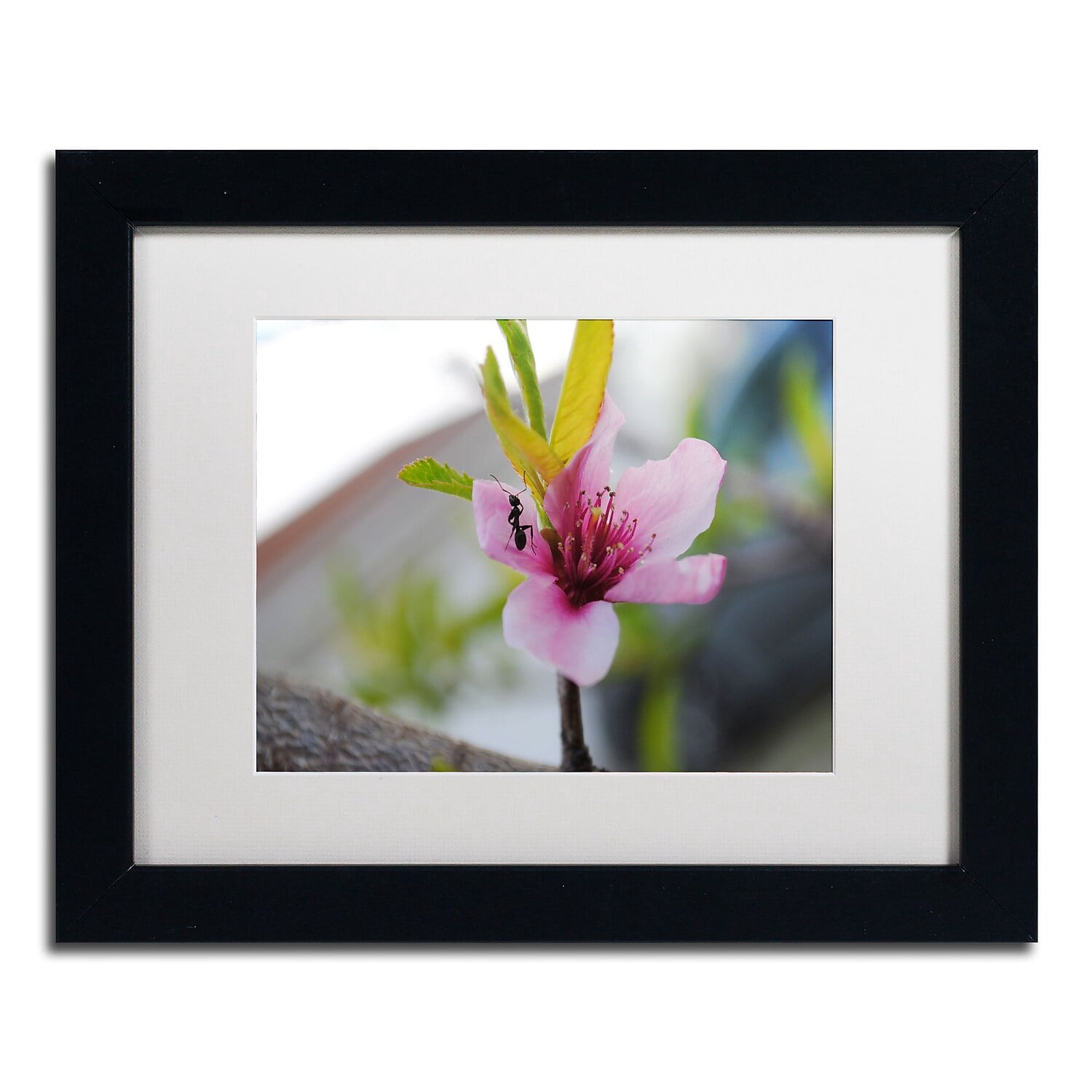 Trademark Fine Art "Expressive Individuality" Canvas Art by Monica Mize, White Matte, Black Frame