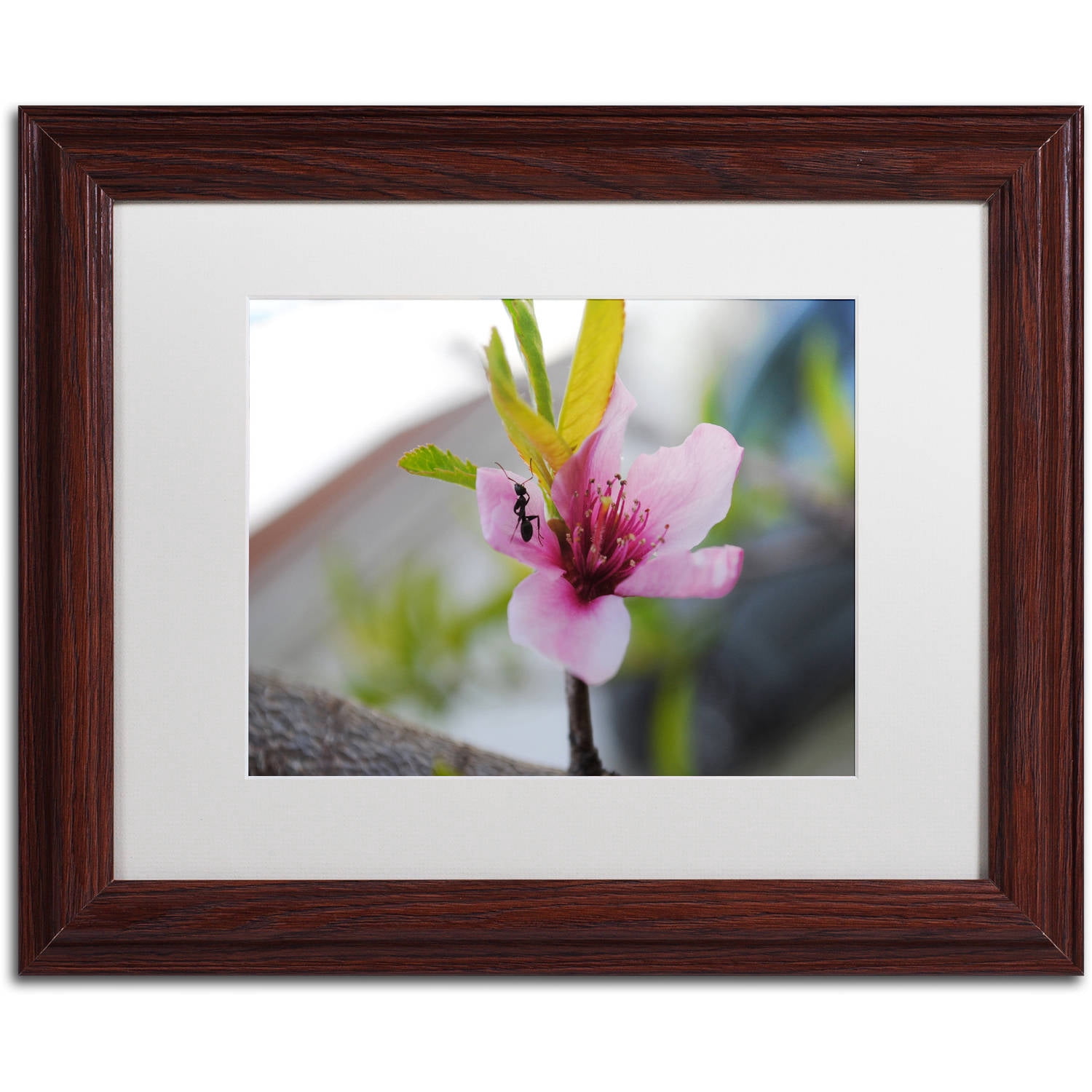 Trademark Fine Art "Expressive Individuality" Canvas Art by Monica Mize, White Matte, Wood Frame
