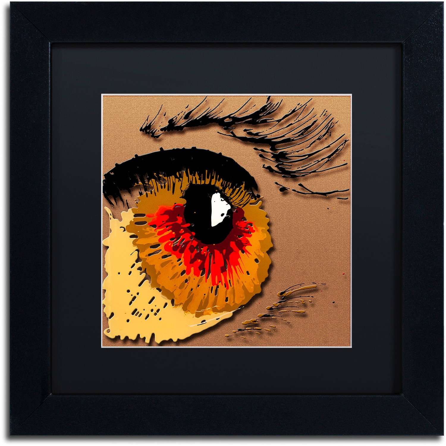 Trademark Fine Art "Eye 1" Canvas Art by Roderick Stevens, Black Matte, Black Frame
