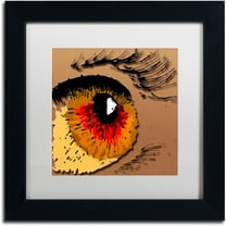 Trademark Fine Art "Eye 1" Canvas Art by Roderick Stevens, White Matte, Black Frame