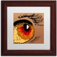 thumbnail image 1 of Trademark Fine Art "Eye 1" Canvas Art by Roderick Stevens, White Matte, Wood Frame, 1 of 3