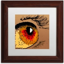 Trademark Fine Art "Eye 1" Canvas Art by Roderick Stevens, White Matte, Wood Frame