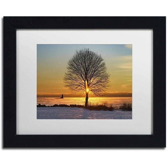 Trademark Fine Art 'Eye of the Tree' Canvas Art by Michael Blanchette Photography, White Matte, Black Frame