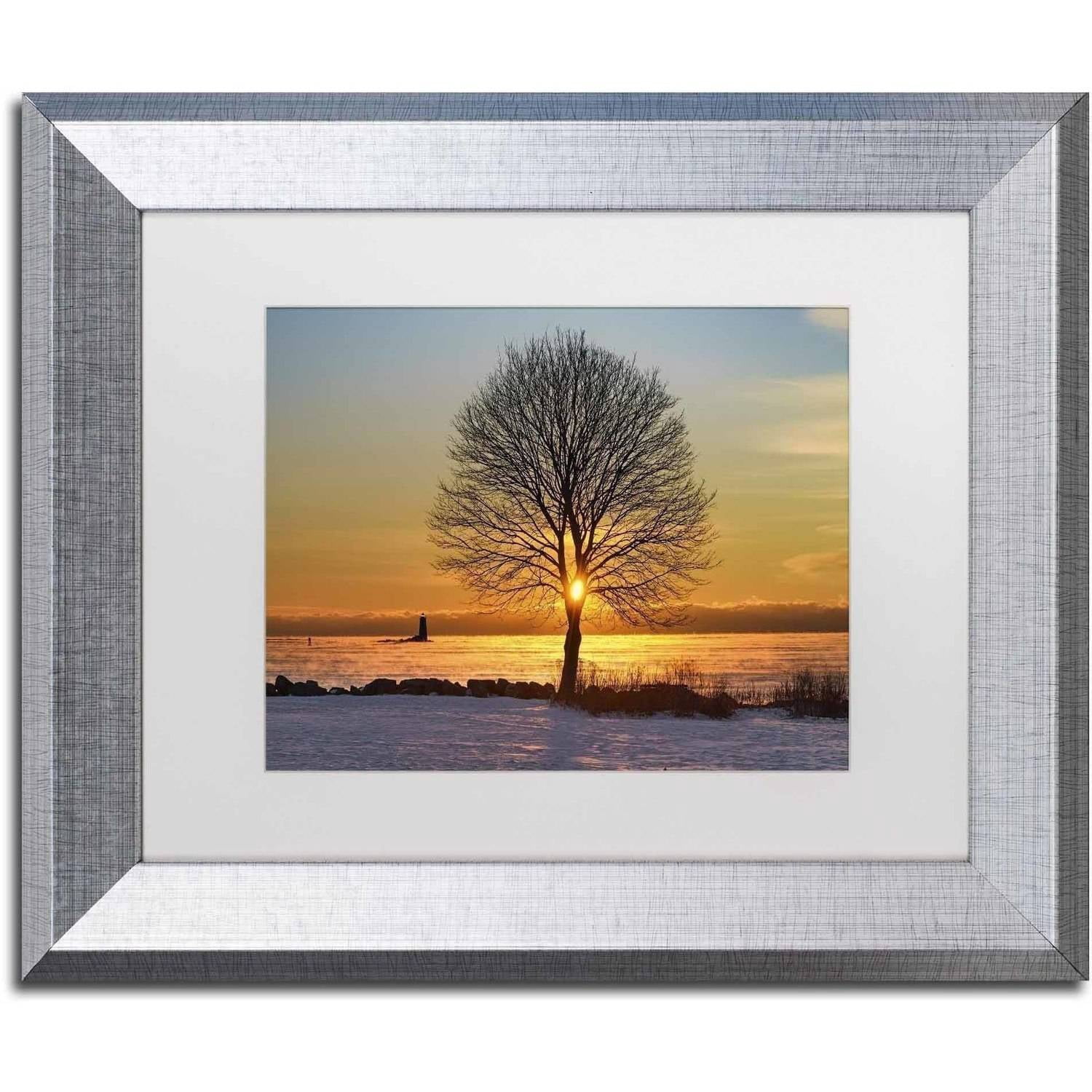 Trademark Fine Art 'Eye of the Tree' Canvas Art by Michael Blanchette Photography, White Matte, Silver Frame