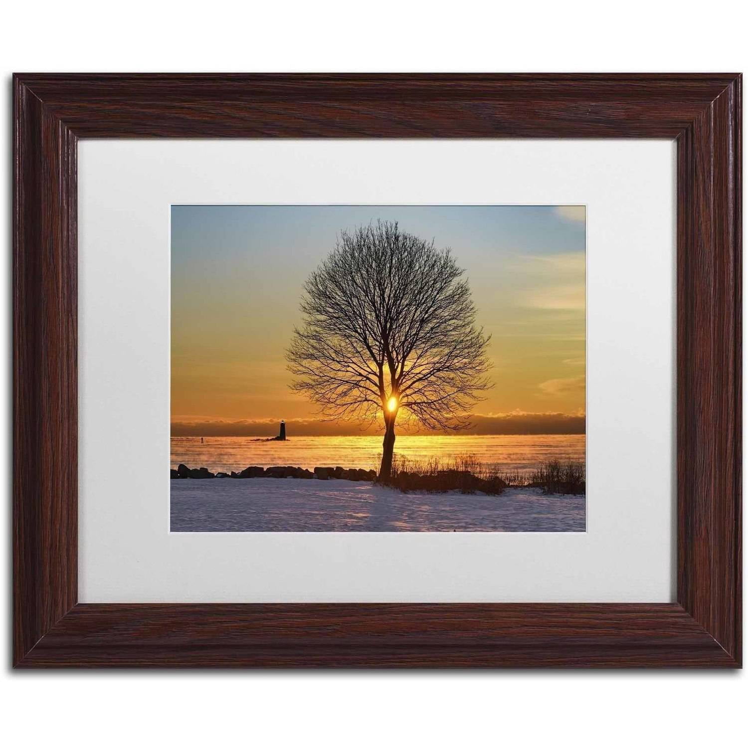 Trademark Fine Art 'Eye of the Tree' Canvas Art by Michael Blanchette Photography, White Matte, Wood Frame