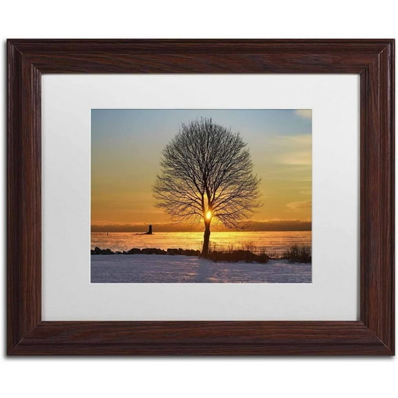 Trademark Fine Art 'Eye of the Tree' Canvas Art by Michael Blanchette Photography, White Matte, Wood Frame
