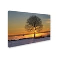 thumbnail image 1 of Trademark Fine Art 'Eye of the Tree' Canvas Art by Michael Blanchette Photography, 1 of 2