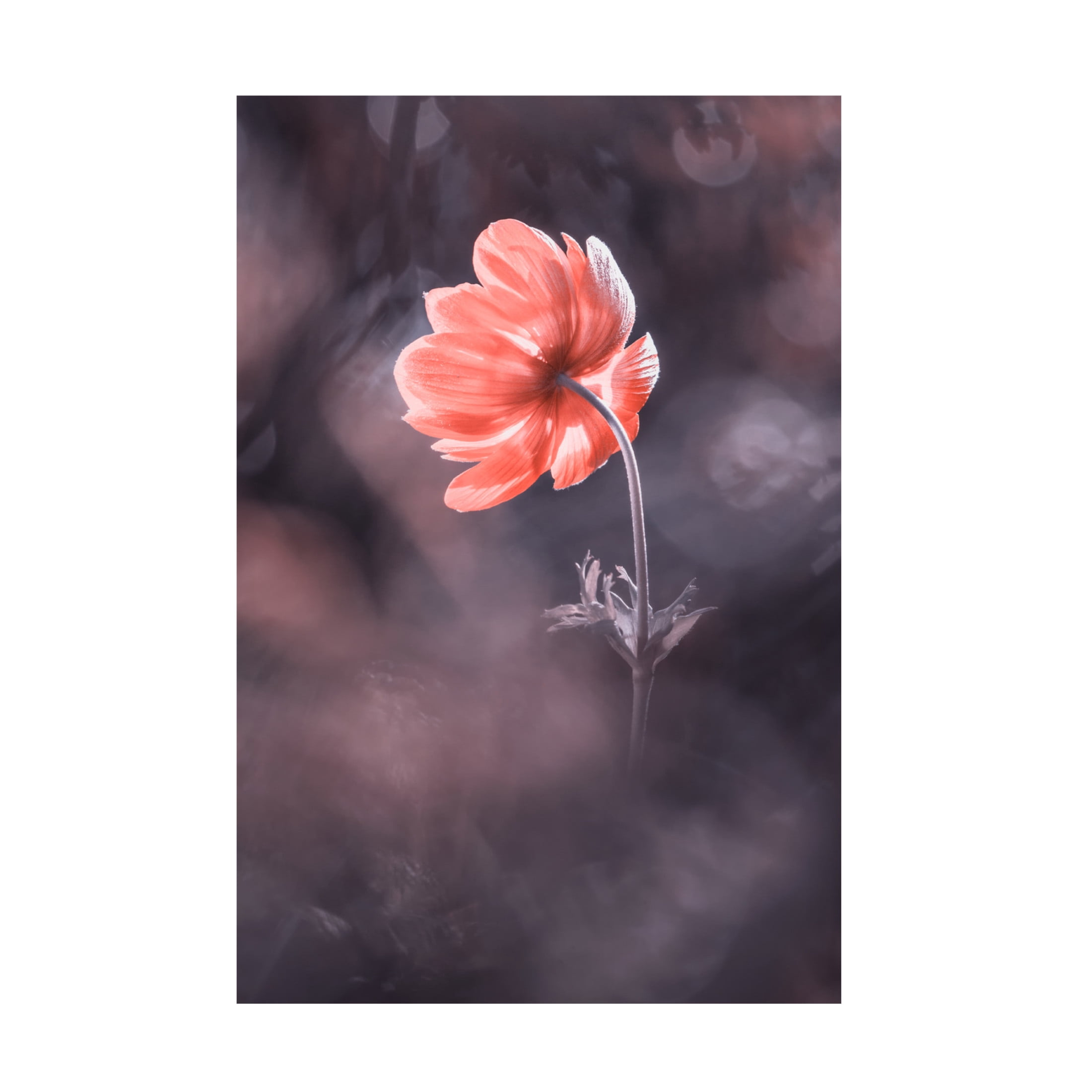 Trademark Fine Art Fabien BRAVIN  The Lighthouse Canvas Wall Art