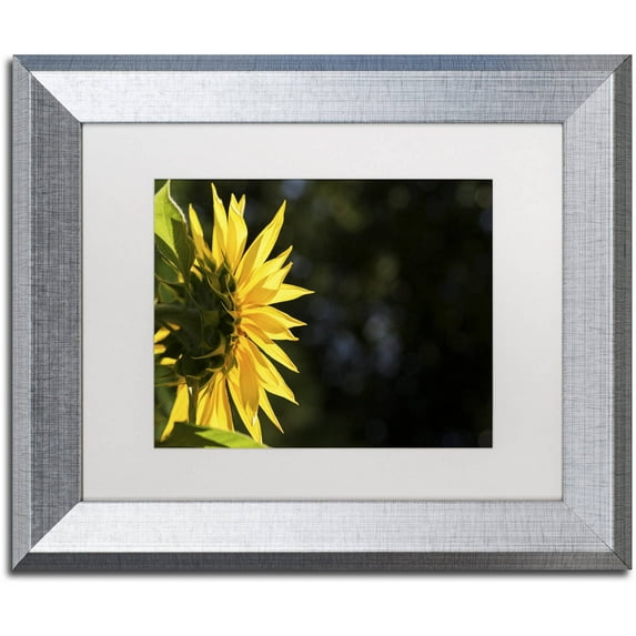 Trademark Fine Art "Facing the Sun" Canvas Art by Kurt Shaffer, White Matte, Silver Frame