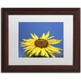 thumbnail image 1 of Trademark Fine Art "Facing the Sun II" Canvas Art by Kurt Shaffer, White Matte, Wood Frame, 1 of 4