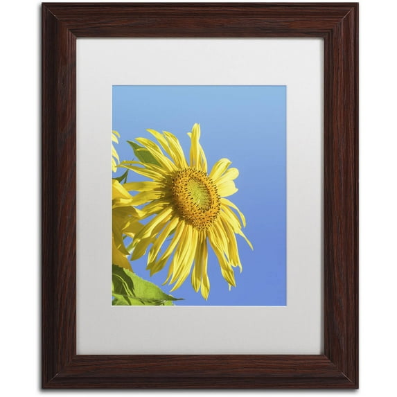 Trademark Fine Art "Facing the Sun III" Canvas Art by Kurt Shaffer, White Matte, Wood Frame