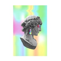 Trademark Fine Art Fadil Roze  Miron Canvas Wall Art