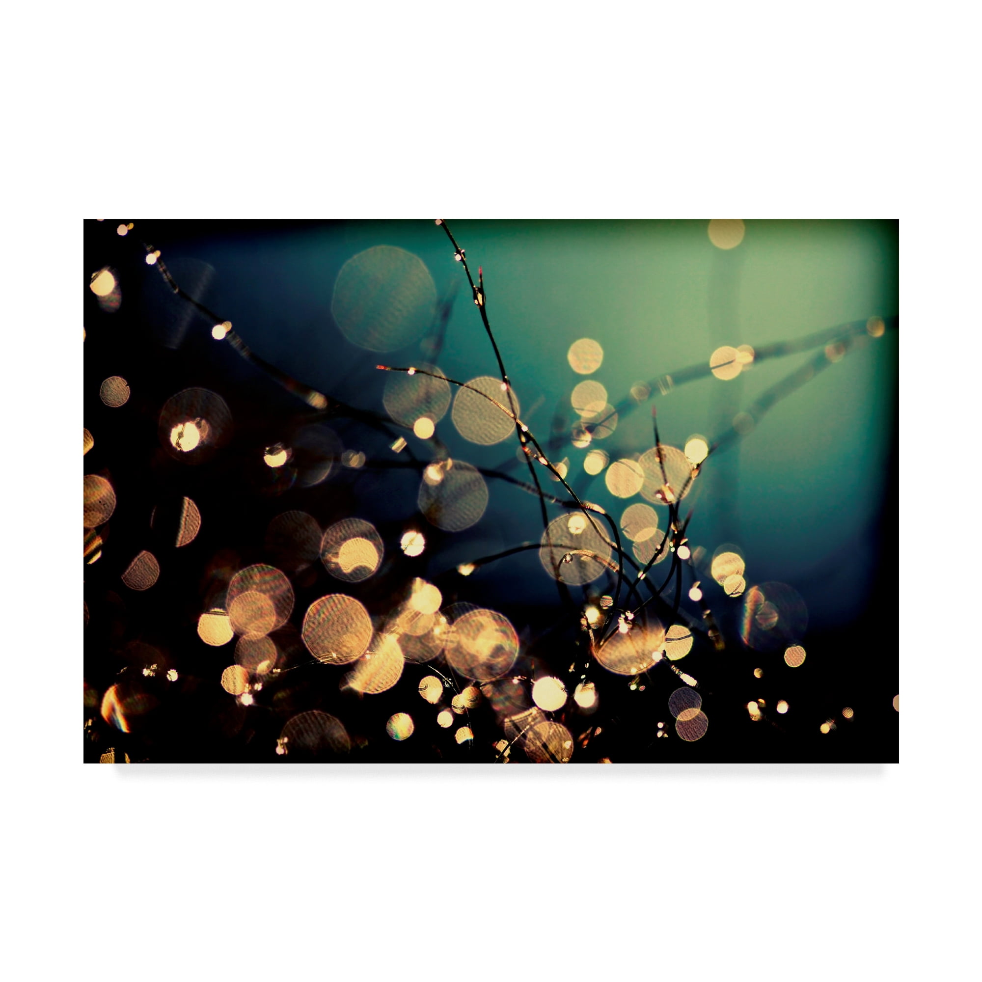 Trademark Fine Art 'Fairies In My Garden 2' Canvas Art by Incredi
