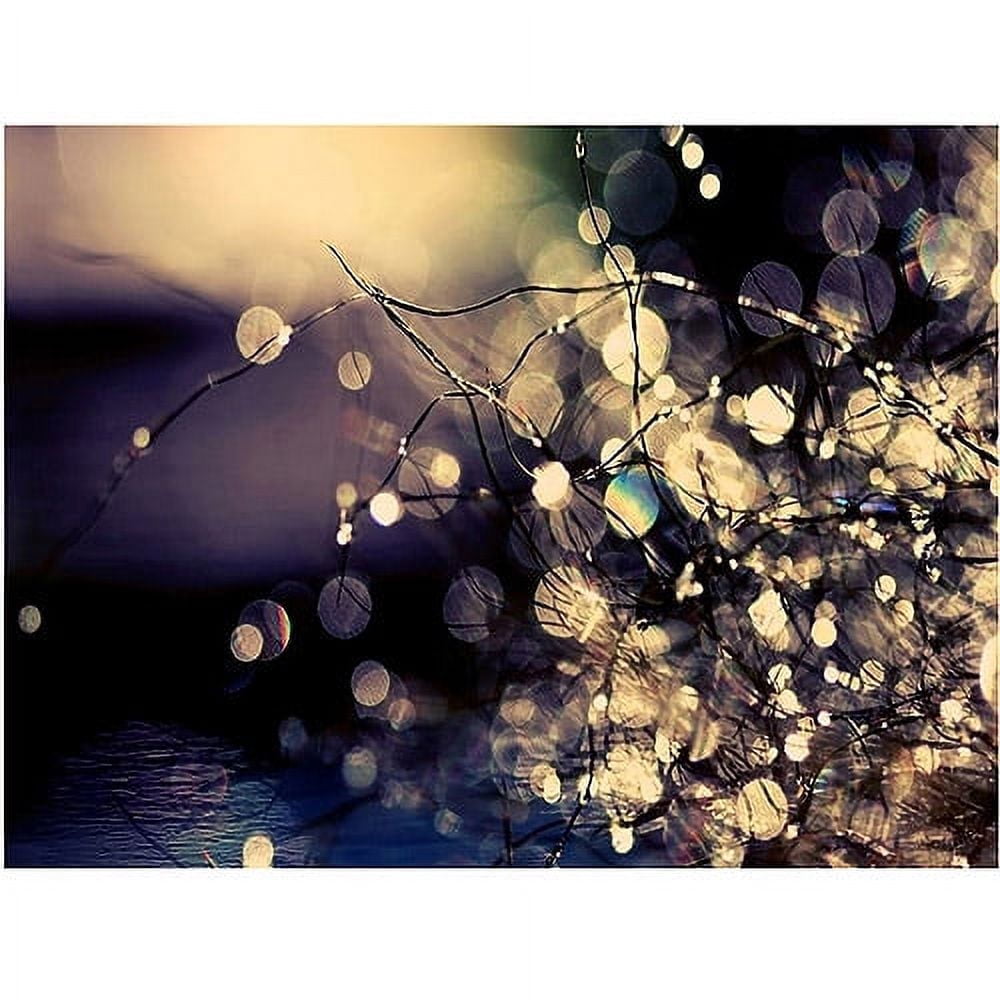 Beata Czyzowska 'Fairies in my Garden' Canvas Art