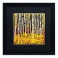 thumbnail image 1 of Trademark Fine Art "Fall Aspens" Canvas Art by Roderick Stevens, Black Matte, Black Frame, 1 of 1