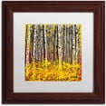 thumbnail image 1 of Trademark Fine Art "Fall Aspens" Canvas Art by Roderick Stevens, White Matte, Wood Frame, 1 of 1