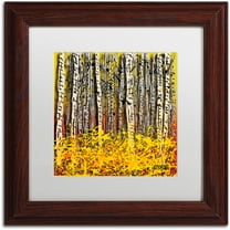 Trademark Fine Art "Fall Aspens" Canvas Art by Roderick Stevens, White Matte, Wood Frame