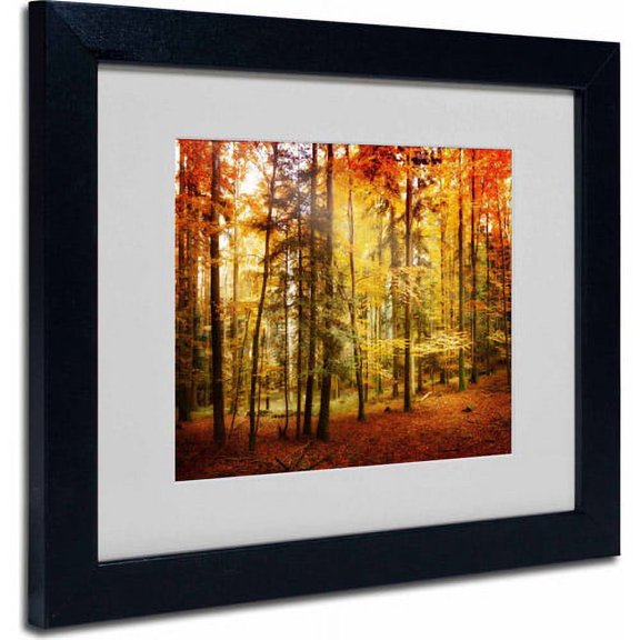 Trademark Fine Art "Fall Color" Canvas Art by Philippe Sainte-Laudy, Black Frame
