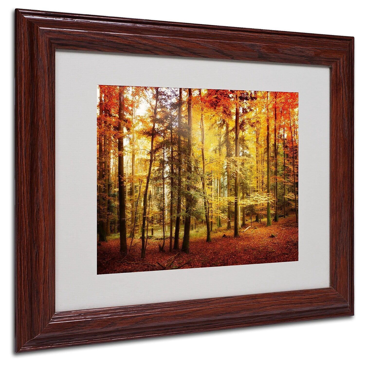 Trademark Fine Art "Fall Color" Canvas Art by Philippe Sainte-Laudy, Wood Frame