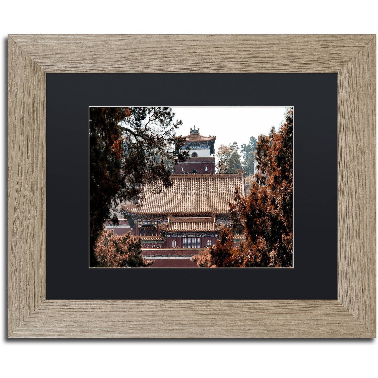 Trademark Fine Art "Fall Colors" Canvas Art by Philippe Hugonnard, Black Matte, Birch Frame