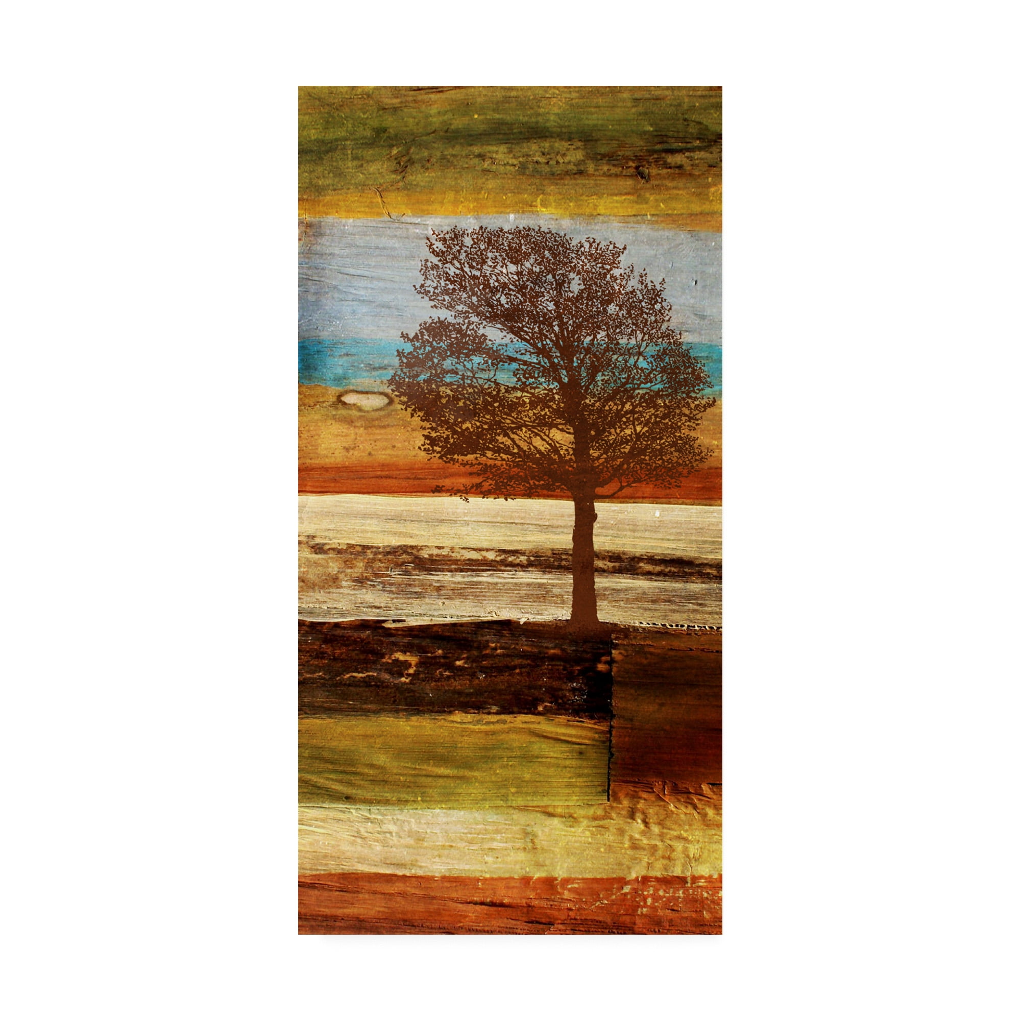 Trademark Fine Art 'Fall Colors I' Canvas Art by Irena Orlov