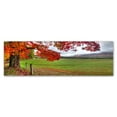 thumbnail image 1 of Trademark Fine Art 'Fall Foliage' Canvas Art by Doug Cavanah, 1 of 3