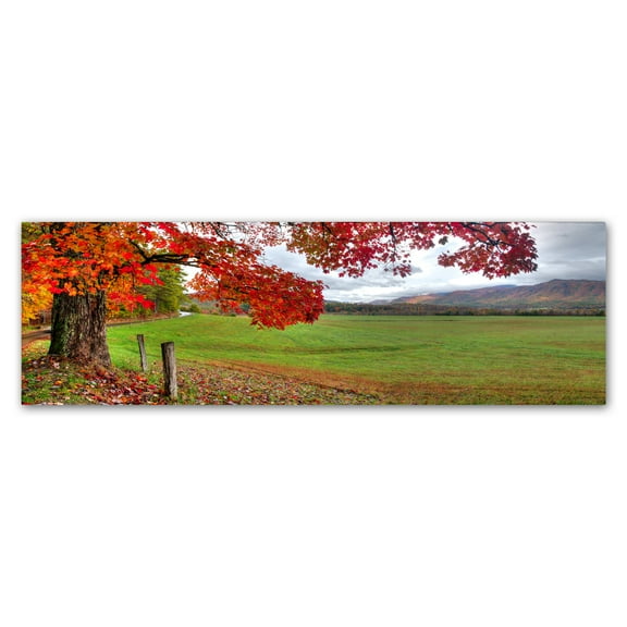 Trademark Fine Art 'Fall Foliage' Canvas Art by Doug Cavanah
