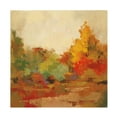 thumbnail image 1 of Trademark Fine Art 'Fall Forest II' Canvas Art by Silvia Vassileva, 1 of 4