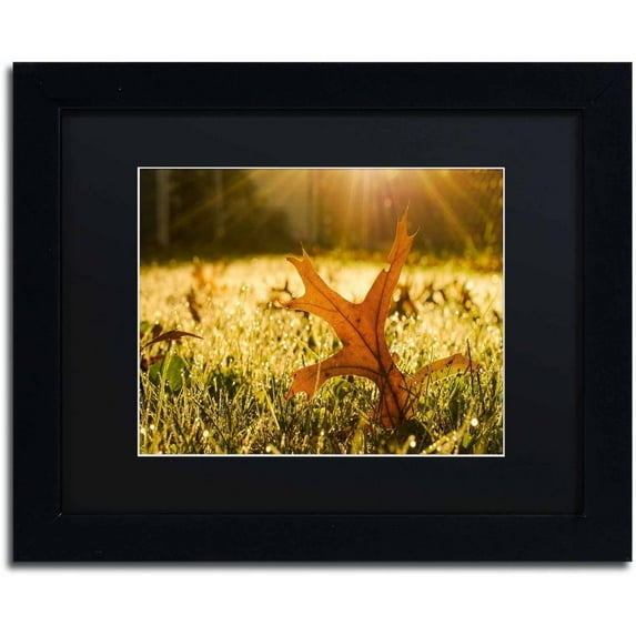 Trademark Fine Art 'Fall Leaf in Morning Sun' Canvas Art by PIPA Fine Art, Black Matte, Black Frame