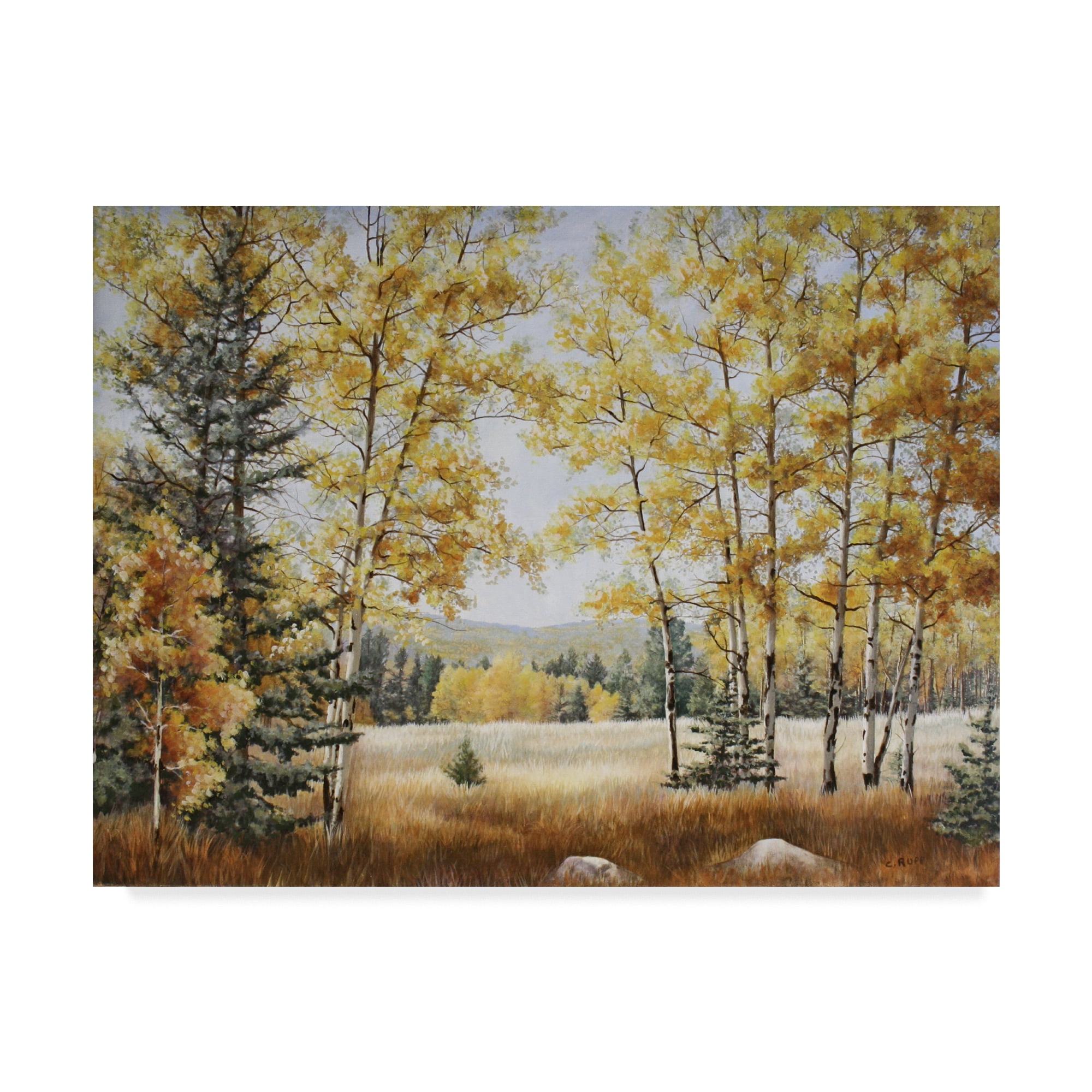 Trademark Fine Art 'Fall Meadow' Canvas Art by Carol J Rupp