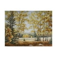 thumbnail image 1 of Trademark Fine Art 'Fall Meadow' Canvas Art by Carol J Rupp, 1 of 3