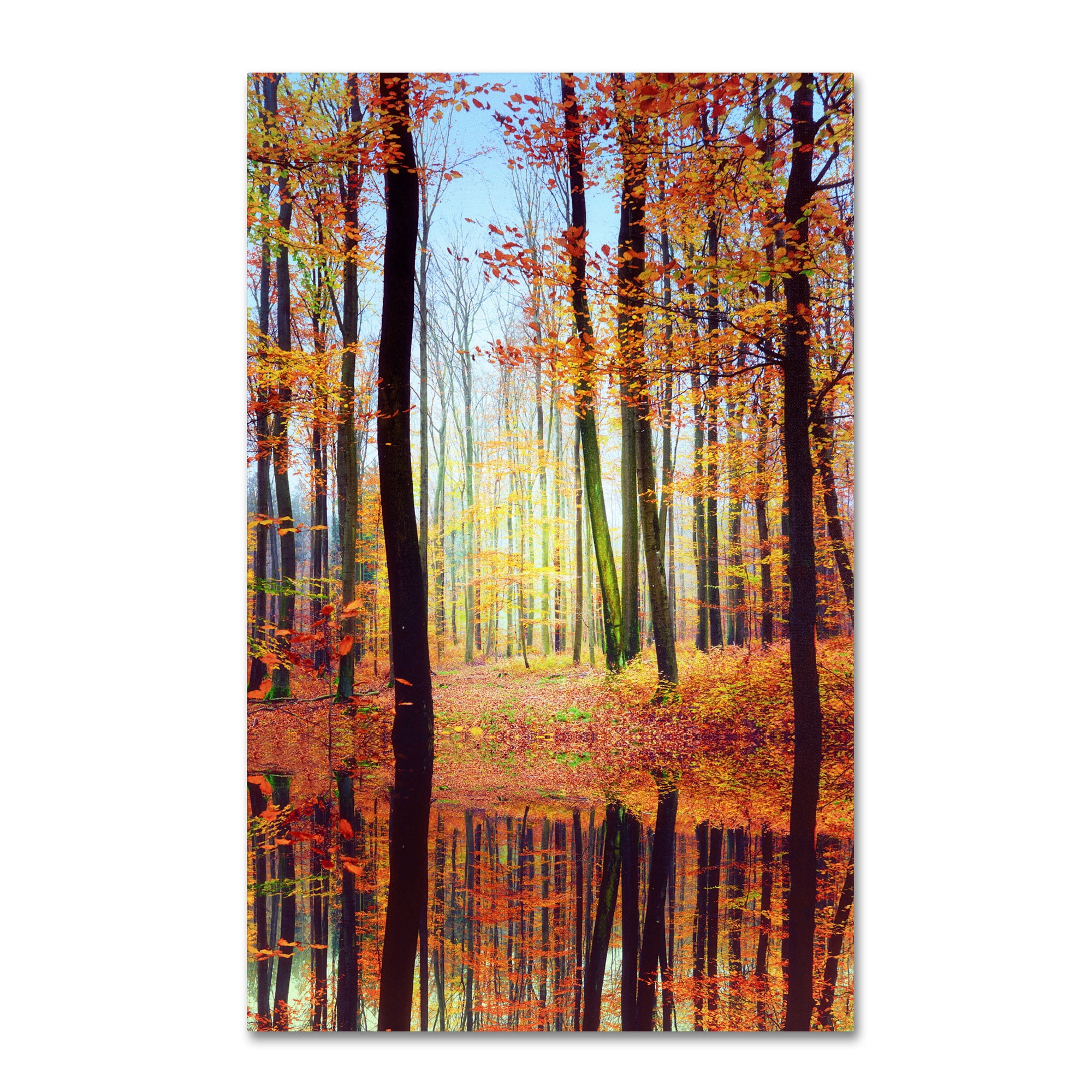 Trademark Fine Art "Fall Mirror" Canvas Art by Philippe Sainte-Laudy