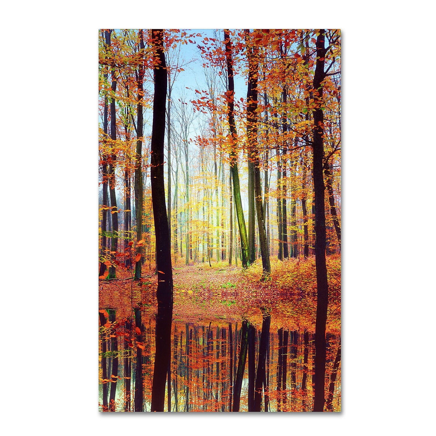 Trademark Fine Art "Fall Mirror" Canvas Art by Philippe Sainte-Laudy