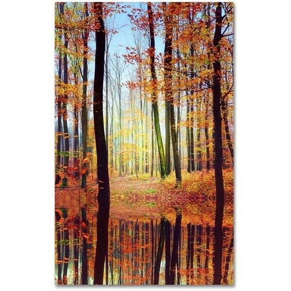 Trademark Fine Art "Fall Mirror" Canvas Art by Philippe Sainte-Laudy