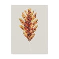 thumbnail image 1 of Trademark Fine Art 'Fall Mosaic Leaf I' Canvas Art by Grace Popp, 1 of 4