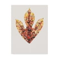 thumbnail image 1 of Trademark Fine Art 'Fall Mosaic Leaf II' Canvas Art by Grace Popp, 1 of 4