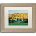 thumbnail image 1 of Trademark Fine Art "Fall Pastoral" Canvas Art by Michael Blanchette Photography White Matte, Birch Frame, 1 of 4