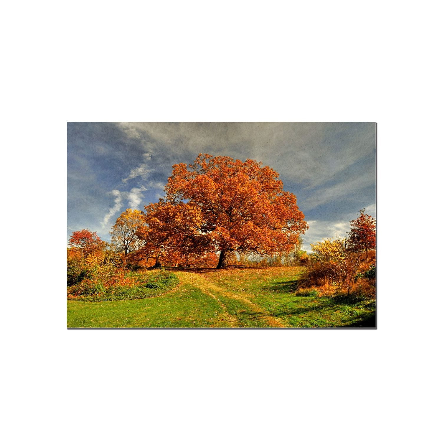 Trademark Fine Art "Fall Scene" Canvas Art by Lois Bryan