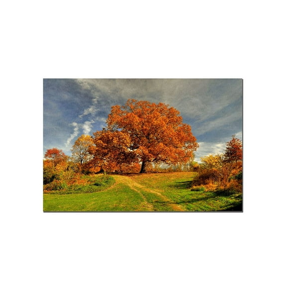 Trademark Fine Art "Fall Scene" Canvas Art by Lois Bryan