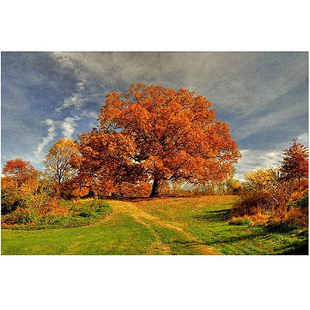 Trademark Fine Art "Fall Scene" Canvas Art by Lois Bryan