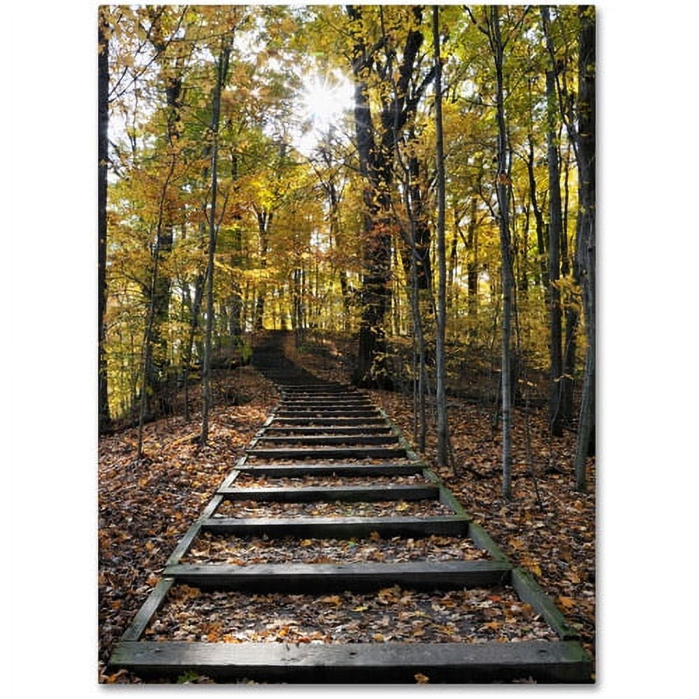 Trademark Fine Art "Fall Stairway 2" Canvas Wall Art by Kurt Shaffer